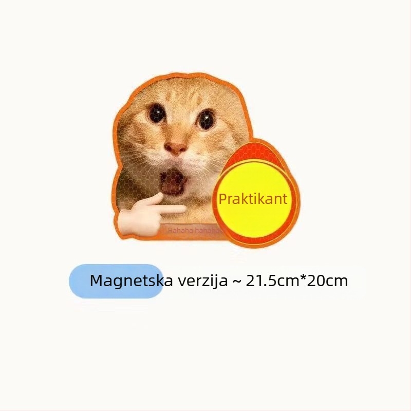 Naljepnice za karoseriju automobila s tekstnim uzorkom, plastični materijal, ugradnja vakuumskom čašicom, marka Extremely Sharp
