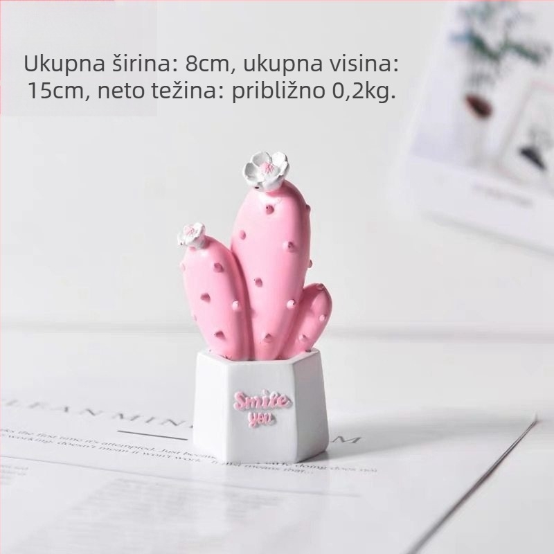 Rekviziti za fotografiju s kaktusom — stolna dekoracija u Instagram stilu