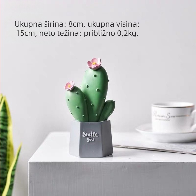 Rekviziti za fotografiju s kaktusom — stolna dekoracija u Instagram stilu