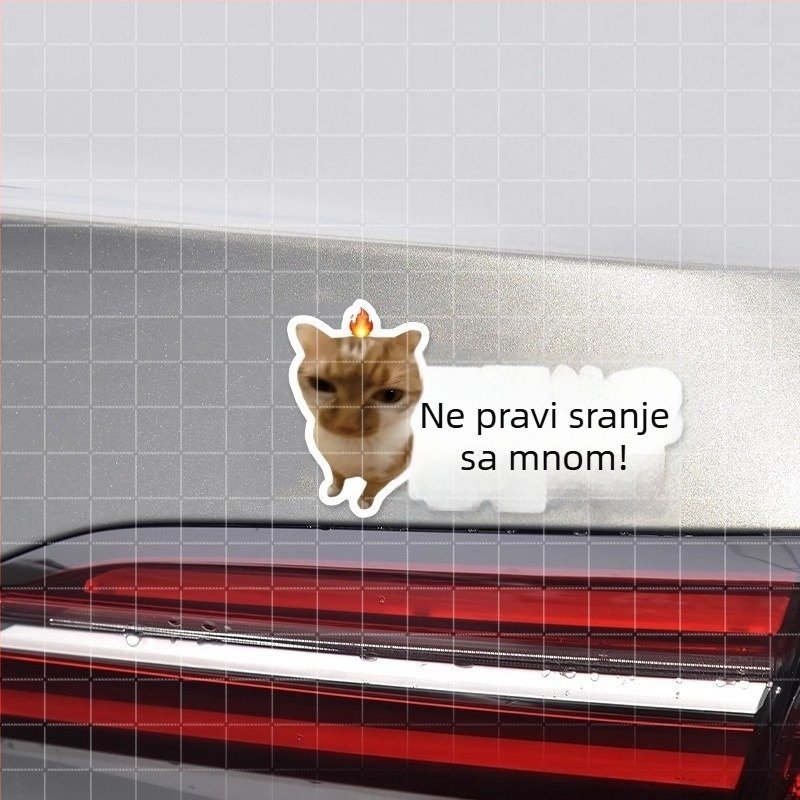Naljepnice za karoseriju automobila s meme mačkom – smiješni tekstovi, vodootporne, za stražnje staklo i bočne stranice
