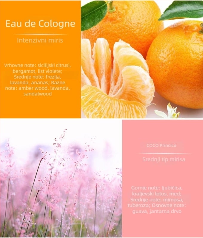 Automobilski difuzor mirisa za vješanje – cinkova zlitina, 10–20 ml, cvjetno-drevni miris, dekorativna i aromatizirajuća funkcija, mirisi: Ocean, Floral, Coco Princess, Water of Life