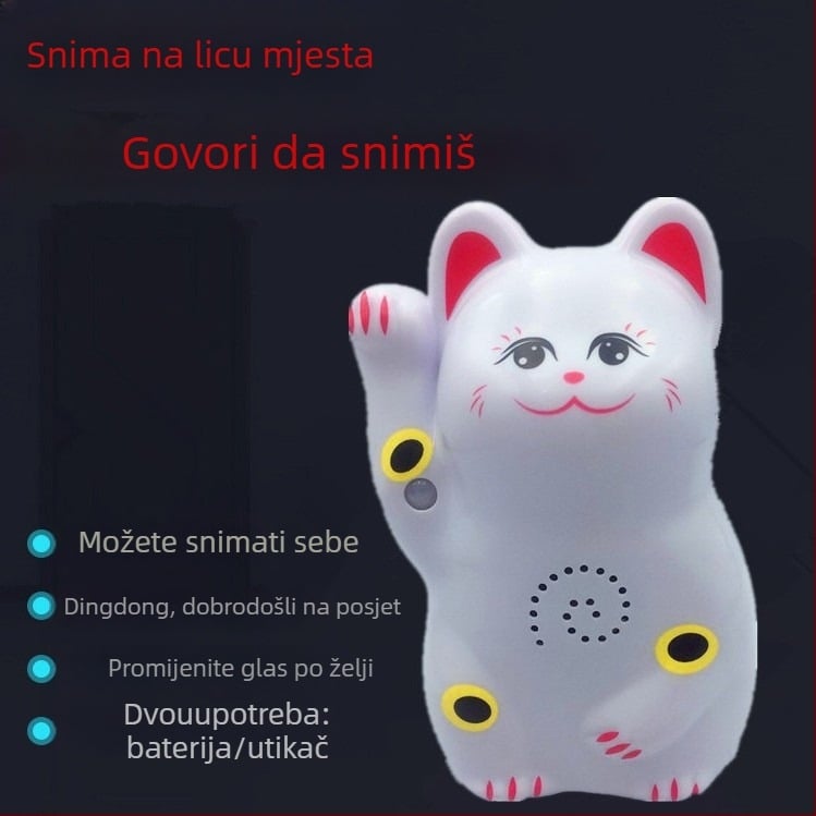 Indukcijski zvučnik za vrata s infracrvenim alarmom i mogućnošću snimanja zvuka; model 024; dvostruko napajanje (baterija i napajanje); napajanje 4,5V; prilagodljiv zvuk zvona