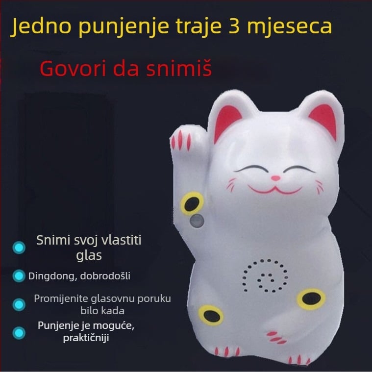 Indukcijski zvučnik za vrata s infracrvenim alarmom i mogućnošću snimanja zvuka; model 024; dvostruko napajanje (baterija i napajanje); napajanje 4,5V; prilagodljiv zvuk zvona
