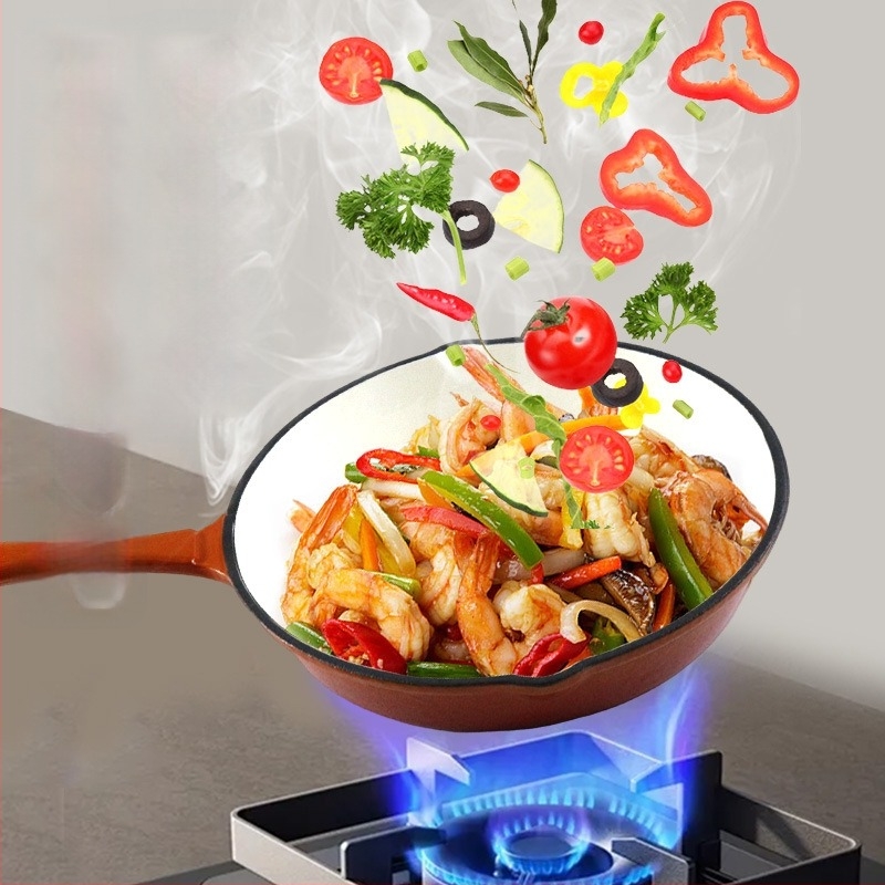 Emajlirani lijevani čelični tiganj, debeli emajl, neprijanjajući, kompatibilan s indukcijom i plinskom pločom, bez poklopca, moguć ispis logotipa