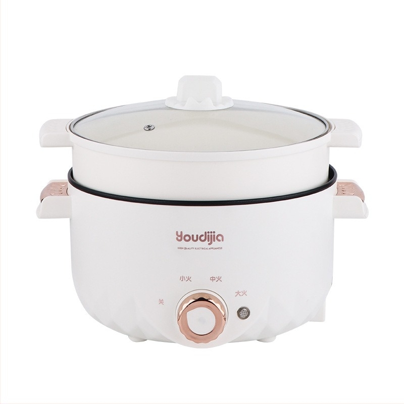 YOUDIJIA Električna posuda za kuhanje, do 800W, 110V, funkcije: para, piranje, prženje na tavi, kuhanje, dinstanje, hot pot i grill 2 u 1, pogodna za 2-3 osobe