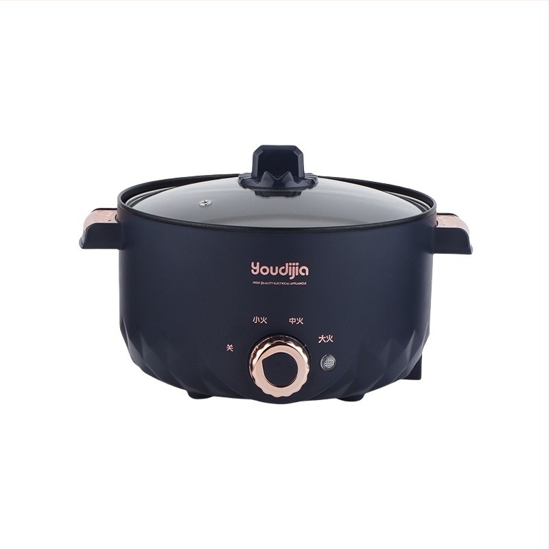 YOUDIJIA Električna posuda za kuhanje, do 800W, 110V, funkcije: para, piranje, prženje na tavi, kuhanje, dinstanje, hot pot i grill 2 u 1, pogodna za 2-3 osobe