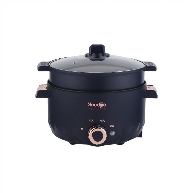 YOUDIJIA Električna posuda za kuhanje, do 800W, 110V, funkcije: para, piranje, prženje na tavi, kuhanje, dinstanje, hot pot i grill 2 u 1, pogodna za 2-3 osobe