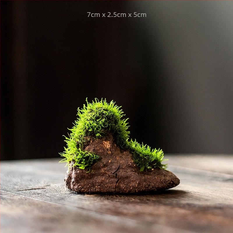 Stolni bonsai s vodnim krajolikom — svileno cvijeće, zen mikro krajolik