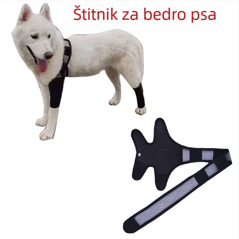 Zaštitni uređaj za pseće šape – prednje i stražnje noge kod prijeloma