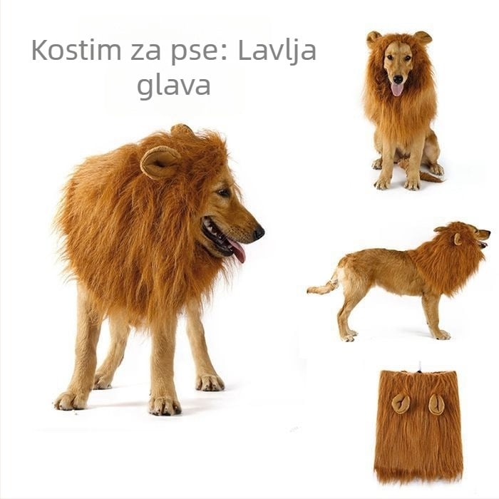 Halloween kostim za psa – kapu za glavu s motivom lava i kreativna pseća perika
