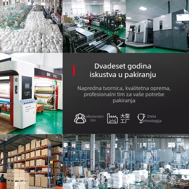 Samozatvarajući ZIP vrećica za nakit; plastična vrećica za pakiranje; tiskano logo