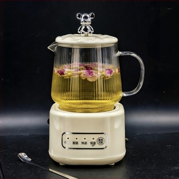 Potpuno automatski čajnik za zdravlje sa staklenim tijelom, kapacitet 1 L ili manje, 220 V, 360 W, dodirno upravljanje i tajmer