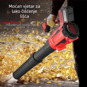 Visoko snažan bez četkaste litijske električne puhač za kućnu upotrebu – čišćenje snijega i puhavanje lišća, 220V, punjivi