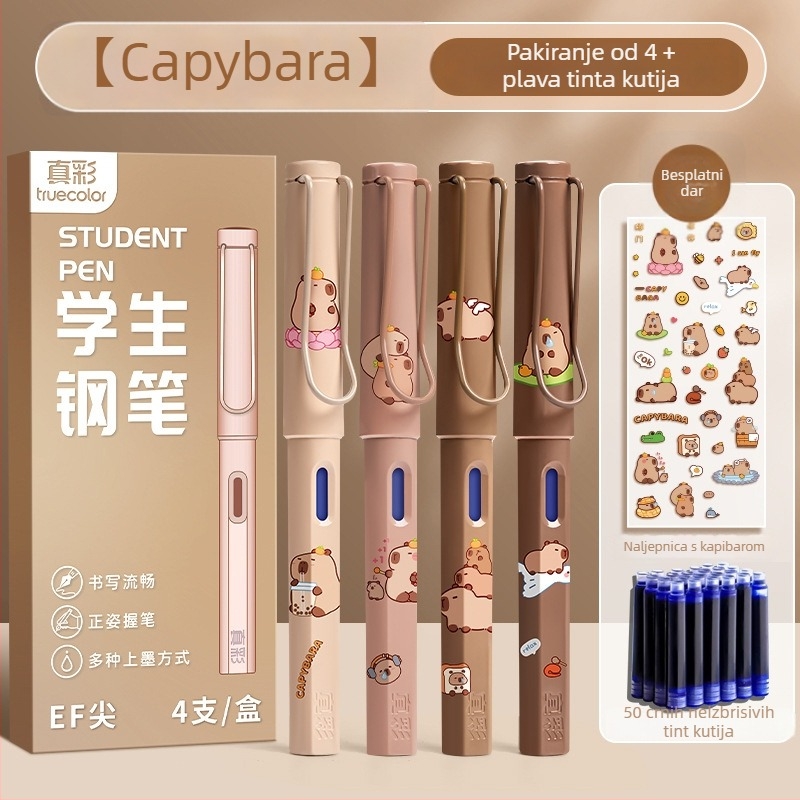 Brisivo pero za učenike, plastično kućište, sustav kartridža s tintom, nehrđajući čelik vrh, model LZ-ZCGB