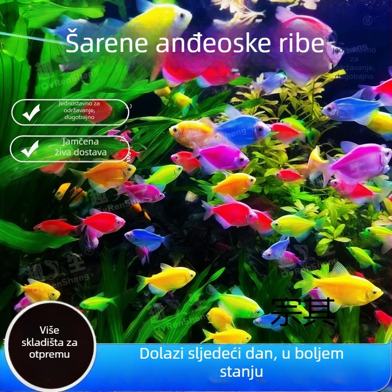 ABS filtar za akvarij – Oprema za akvarij