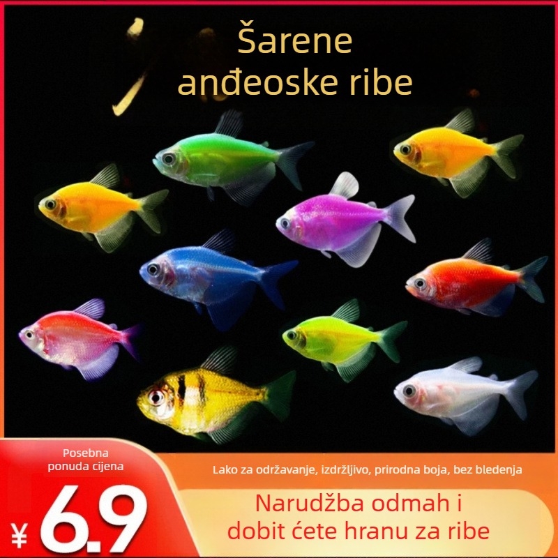 ABS filtar za akvarij – Oprema za akvarij