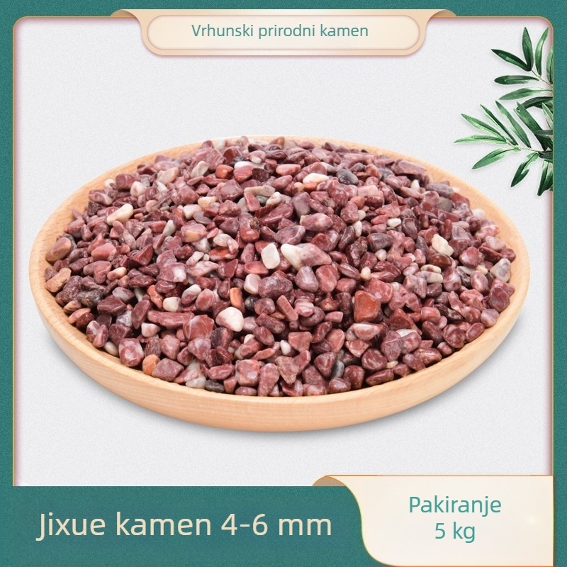 Dekoracija za akvarij s prirodnim kamenjem, Rain Flower kamenjem, šljunkom te sukulentnim biljkama u posudama