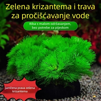 Shadow Creek Set za uređenje Betta akvarija s oksigenirajućim sfernim vodnim biljkama, bez dna pijeska, za pročišćavanje vode