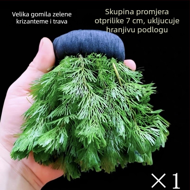 Shadow Creek Set za uređenje Betta akvarija s oksigenirajućim sfernim vodnim biljkama, bez dna pijeska, za pročišćavanje vode