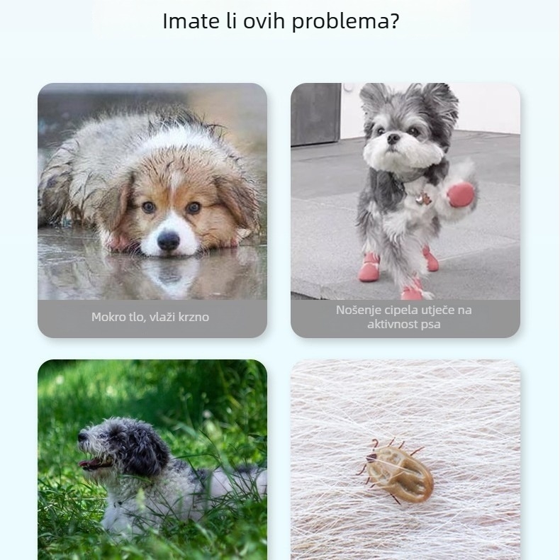 Odijevanje za četveronožnog psa, poliester, model KUNZONG-48 Hang Yang, OEM brenda
