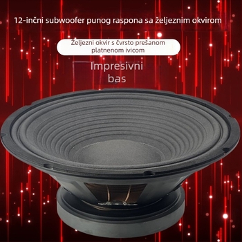 12-inčni full-range zvučnik s vanjskim magnetskim sklopom, visokou snaga bas zvučnik za audio opremu