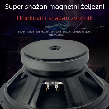 12-inčni full-range zvučnik s vanjskim magnetskim sklopom, visokou snaga bas zvučnik za audio opremu