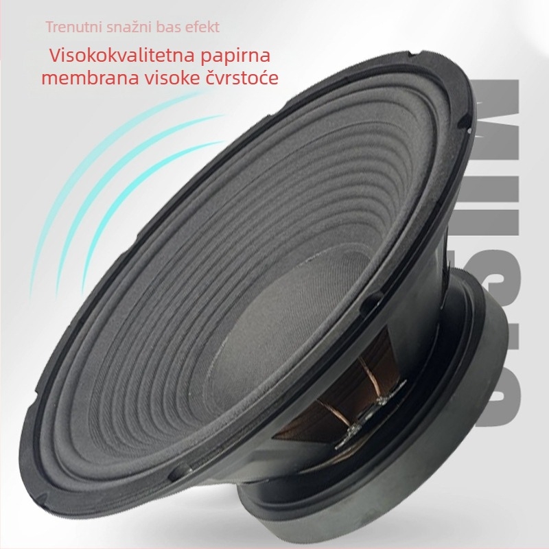 12-inčni full-range zvučnik s vanjskim magnetskim sklopom, visokou snaga bas zvučnik za audio opremu