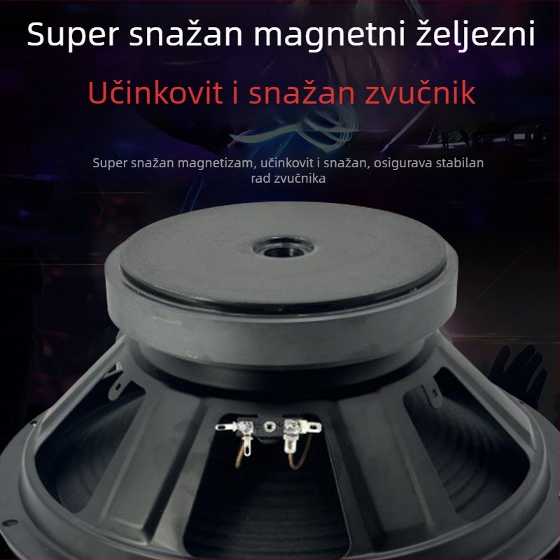 12-inčni full-range zvučnik s vanjskim magnetskim sklopom, visokou snaga bas zvučnik za audio opremu