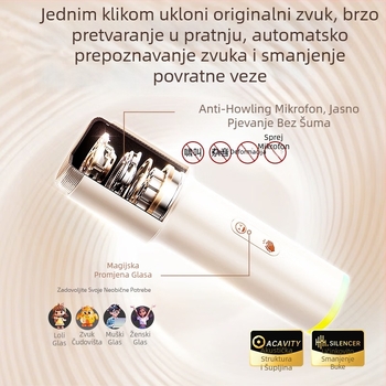 Karaoke zvučnik s prikazom tekstova i ugrađenim mikrofonom, Bluetooth 5.0, dva zvučnika, baterija 4000–6000 mAh