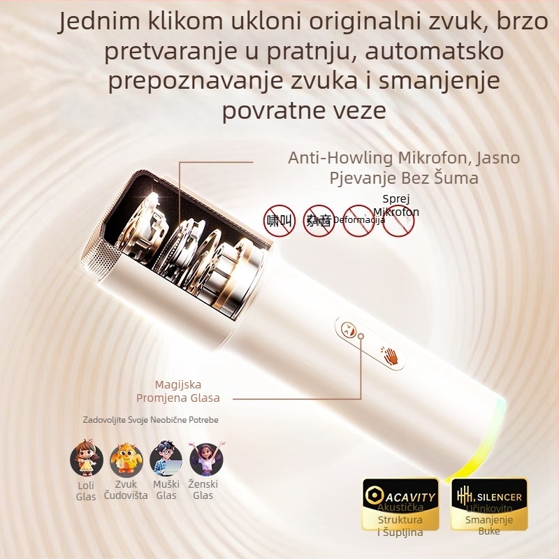 Karaoke zvučnik s prikazom tekstova i ugrađenim mikrofonom, Bluetooth 5.0, dva zvučnika, baterija 4000–6000 mAh