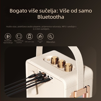 Kućni karaoke Bluetooth zvučnik s mikrofonom, sve-u-jednom, snažan zvuk i dugotrajna baterija