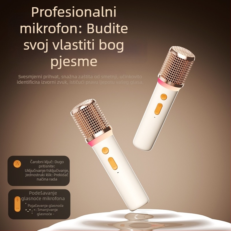 Kućni karaoke Bluetooth zvučnik s mikrofonom, sve-u-jednom, snažan zvuk i dugotrajna baterija