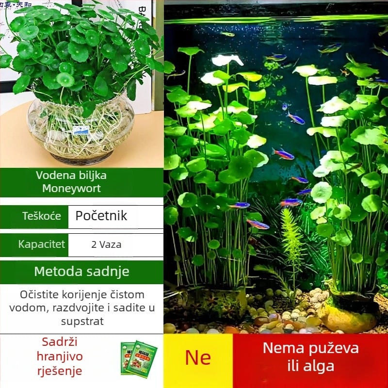 Filter za akvarij s hidroponskim biljem i zajedničkim uzgojem riba za pročišćavanje vode i žive zelene biljke