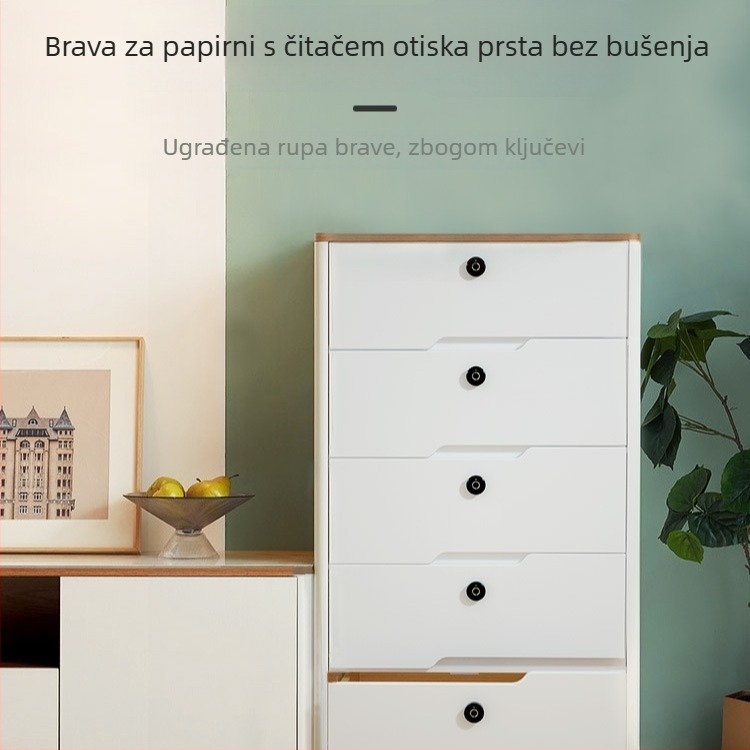 Maifeida pametna brava s otiskom prsta za ladice, ormariće i garderobu | Model ZW176 | Materijal: legura PC
