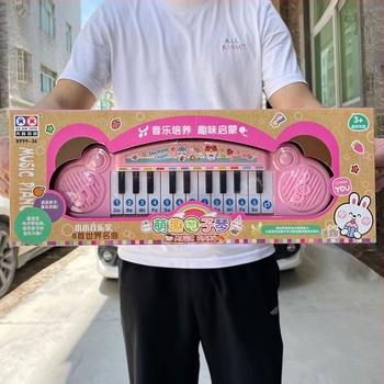 Xingshun Star obrazovni elektronički organ za početnike, plastični elektronički organ za djecu 4–6 godina, Shantou, Guangdong