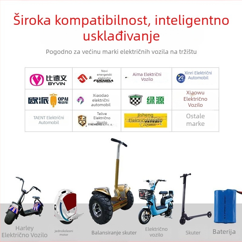 Punjač za litijsku bateriju za električna vozila – LD-001, Radium Wind; ulaz 100-240V AC, izlaz 54.6V 3A DC, FCC certificirano