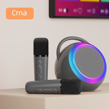 Prijenosni Bluetooth karaoke zvučnik s ugrađenim mikrofonom, Bluetooth 5.3, 5W izlazna snaga, ugrađena baterija 1200-2000mAh, domet 10 m
