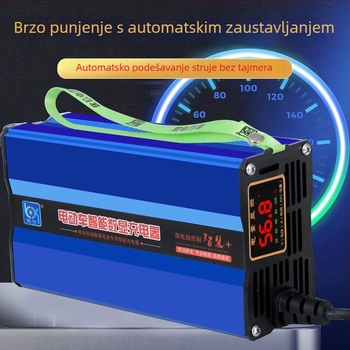 Youxin brzo punjač baterije za električno vozilo, ulaz 110/220V, izlaz 48/60/72V, UL certificiran, lead-acid punjač 48/60/72V serija