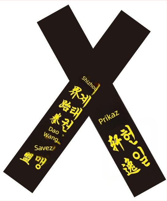 Odrasli Taekwondo pojas s izšivenim imenom i graviranjem – pamuk tkanina 85% s podlogom od lanu-mješavine 85% – pogodan za Taekwondo