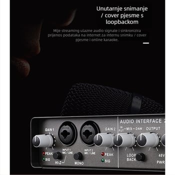 Wadeland vanjski USB audio sučelje 192 kHz, 2-in 2-out za snimanje i live streaming