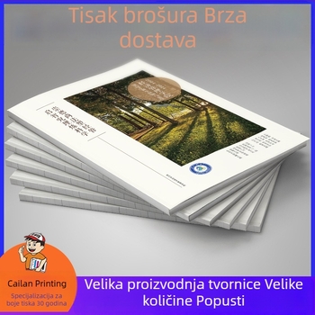 Promotivni prospekt ispisan na premazanom papiru, gravurna tisk, format 24 otvoren, ljepilo uvez, tisk logotipa