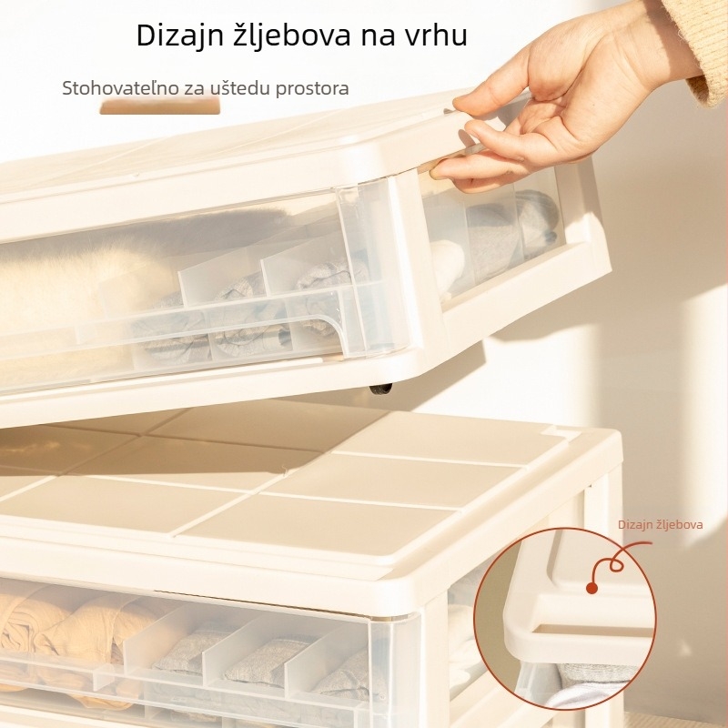 Plastična kutija za pohranu ispod kreveta s odjeljcima, bez montaže, kapacitet 20–30 L, japanski stil