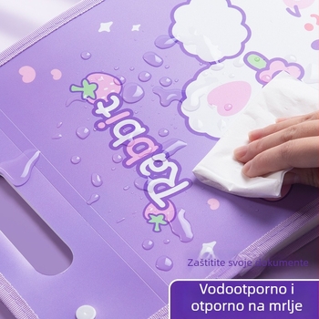 Kaba Bear KBX-7049 Prijenosni organizator dokumenata za učenike, plastični, 12 pretinaca, za pohranu radnih listova testa