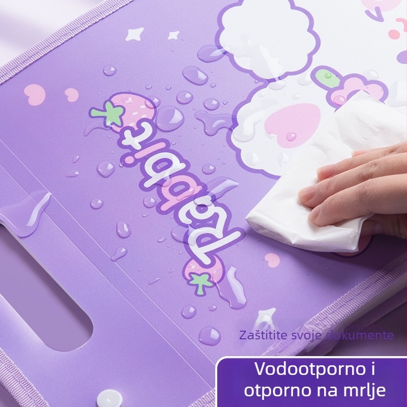 Kaba Bear KBX-7049 Prijenosni organizator dokumenata za učenike, plastični, 12 pretinaca, za pohranu radnih listova testa