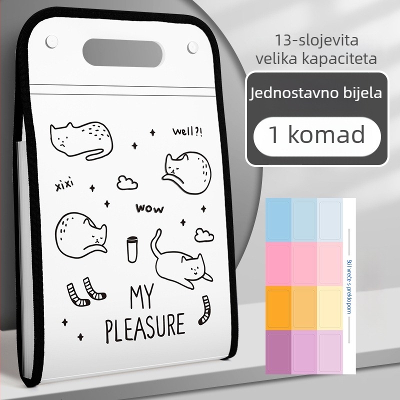 Kaba Bear KBX-7049 Prijenosni organizator dokumenata za učenike, plastični, 12 pretinaca, za pohranu radnih listova testa