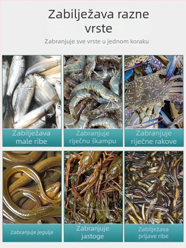 Ribarska mreža-kavez za ribu, škampi i ostalo — Marka Giant finned king; Podrijetlo: Kina; Materijal: Drugo