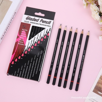 Profesionalni set olovaka za skicu, drveni olovci, 12 komada, 2H-8B