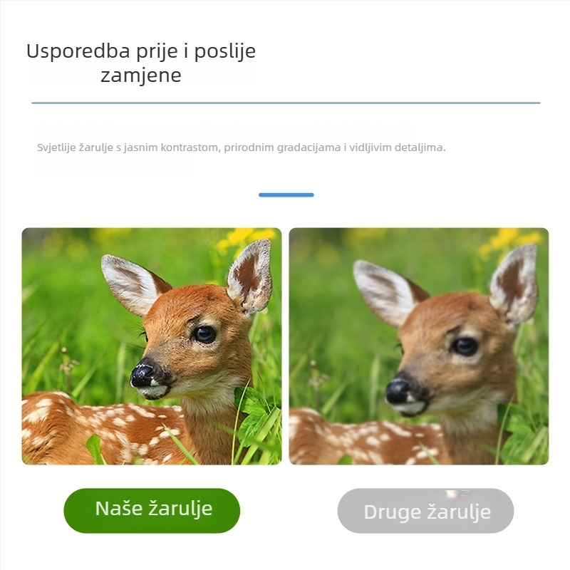 E20.7 makro projektor žarulja – 200W, Mai Le Pu, artikl broj 20250526-8050