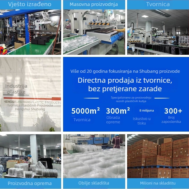 Jednokratna kutija za voće od PET plastike, s rupama i poklopcem, kapacitet 125 g