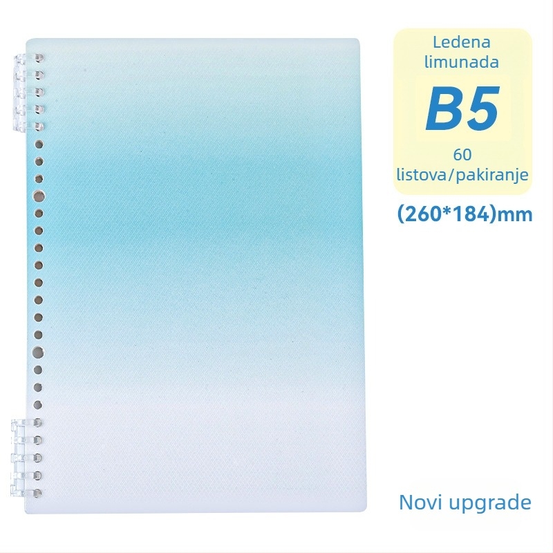 B5 bilježnica s omotom s motivom zmaja, vezana prstenima, izdvojive stranice